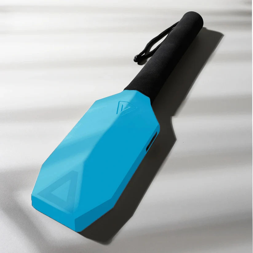 MetaShot GO Portable Smart Cricket Game.