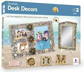 Toykrafft Seashells Desk Decors | Learning Activity Games For Kids | 8+ Years