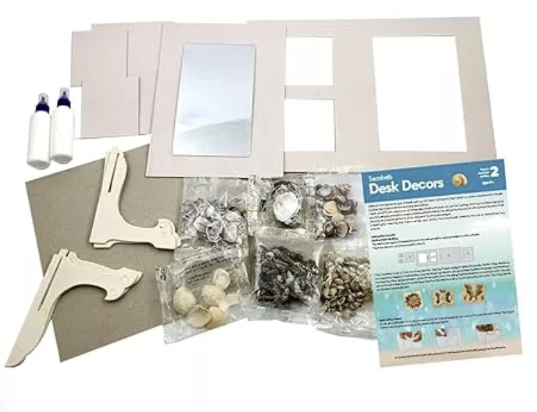 Toykrafft Seashells Desk Decors | Learning Activity Games For Kids | 8+ Years
