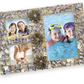 Toykrafft Seashells Desk Decors | Learning Activity Games For Kids | 8+ Years